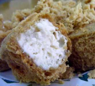 Sensasi Rasa Tahu Mongol