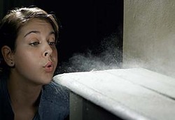 Debu Apa Saja yang Ada di Dalam Rumah?