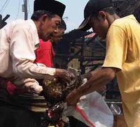 Mengais Disisa Kebakaran