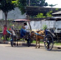 Delman Tak Lagi Jadi Inspirasi Nyanyian
