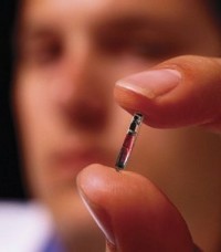 1 dari 4 Orang Ingin Ditanami Chip di Tubuhnya