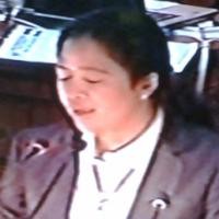  Pekikkan Merdeka, Puan Tegaskan PDIP Pilih C 