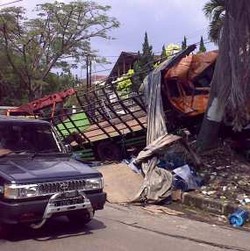 Distam Tebang Pohon yang Ditabrak Truk