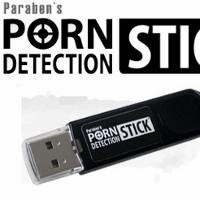 Flash Disk Mampu Deteksi Gambar Porno di Komputer