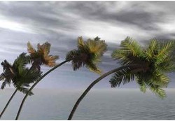 Membaca Tanda-tanda Alam Agar Selamat