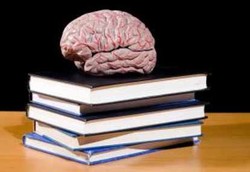 Banyak Belajar Tak Bikin Otak Keriting