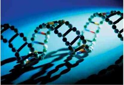 Tes Genetik untuk Tentukan Pola Diet Ideal