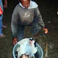 Pasang Jaring Kepiting, 2 Nelayan dapat Mayat Bayi