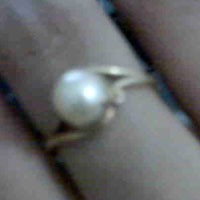 Anggota Komplotan Pencuri Mutiara Diciduk