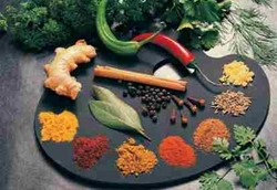 Memilih Obat Herbal yang Aman