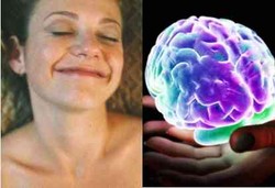 Apa yang Terjadi di Otak Saat Sedang Orgasme?