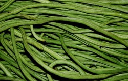 Herbal: Kacang Panjang