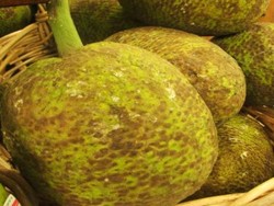 Buah Roti yang Empuk Bergizi