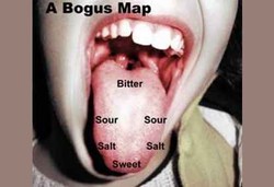 Jadi 6 Rasa, Lidah Mampu Mendeteksi Rasa Lemak