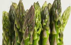 Herbal: Asparagus