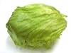 Mencuci Lettuce
