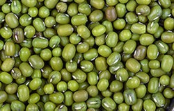 Herbal: Kacang Hijau