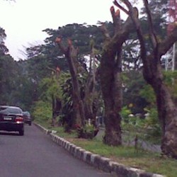 Reklame Harus Ditutup Sampai Izin Selesai