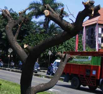 Jalan Soekarno-Hatta Gersang