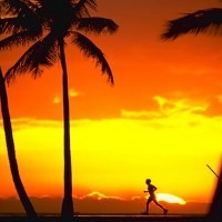 Pria AS Tewas Ditabrak Pesawat Ketika Sedang Jogging di Pantai