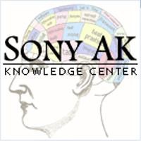 Sony AK Bisa Pertahankan Nama Domain Sony