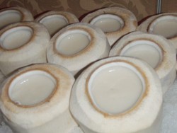 Slurpp... Seger Dingin Coconut Jelly!