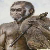 Flores Pernah Dihuni Hobbit Jutaan Tahun Lalu