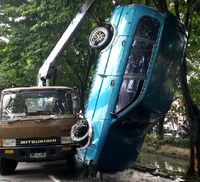 Kijang Nyemplung Sungai Dievakuasi