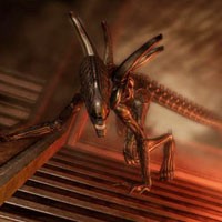 Tegangnya Menjadi Buruan di Alien vs Predator