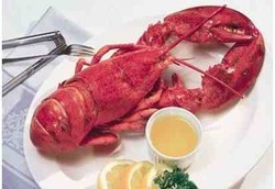 Apakah Lobster Layak Dikonsumsi?