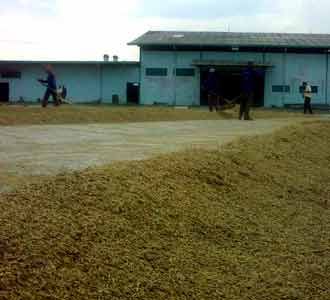 Bulog Jabar Serap 100.171 Ton Beras