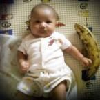 Arfa Ghazali Ahmad, 11 Bulan; Lelaki; m