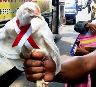 Pedagang Ayam Demo DPRD DKI