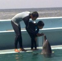 Penyakit Hilang Berkat Si Lumba-lumba