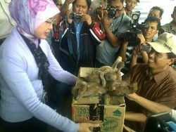 Lamban Tangani Century, KPK Diberi Gelar Bebek Penguasa 