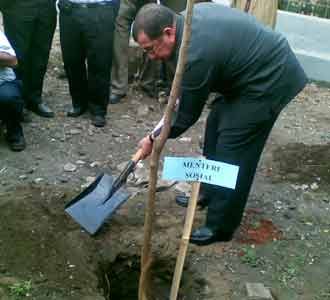 Menteri Tanam Pohon di Samping Rel