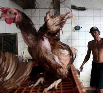 RPA Swasta Terancam Gulung Tikar