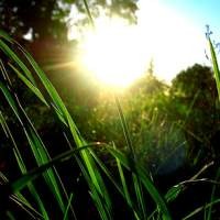 Apple Patenkan Layar dengan Sinar Matahari