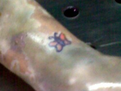 Dokter Forensik Belum Pastikan Potongan Tubuh dari 1 Orang