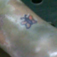 Ada Tato Kupu-kupu Kecil di Kaki Kanan Korban