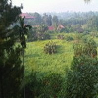 Menanyakan Kapan Mulai Pembangunan Apartemen Lebak Lestari Garden 