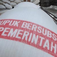 Harga Pupuk di Desa Bintang Meriah Karo Seharusnya Rp 60,000 