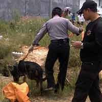 Sisir Lokasi, Polisi Kerahkan K9