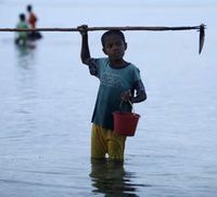 Menombak Ikan di Larantuka