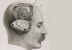 Isi Otak Laki-laki Lebih dari Sekedar Seks