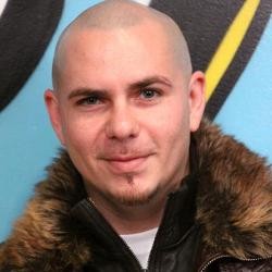 Tiket Konser Ludes, Adrie Subono Rayu Pittbull 