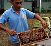 Aktivitas Napi LP Nusakambangan