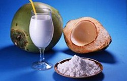 Kalah dari Tetangga, Pemerintah Galakkan Industri Olahan Kelapa