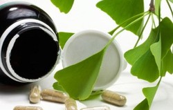 Herbal: Ginkgo biloba