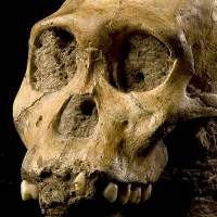 Google Earth Ungkap Nenek Moyang Manusia